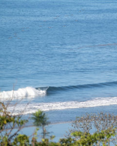 playa ostional