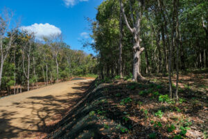 Lot 16 Phase A