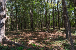 Lot 16 Phase A