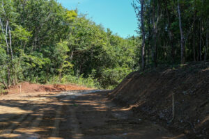 Lot 15 Phase A