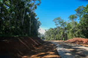Lot 15 Phase A