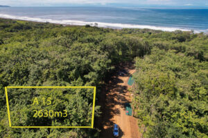 Lot 15 Phase A