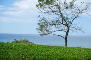 Lot 1 Phase B